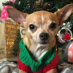 Meet your Posher, Isela